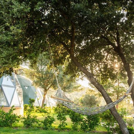 Lusso Glamping Bodrum Hotel Екстериор снимка