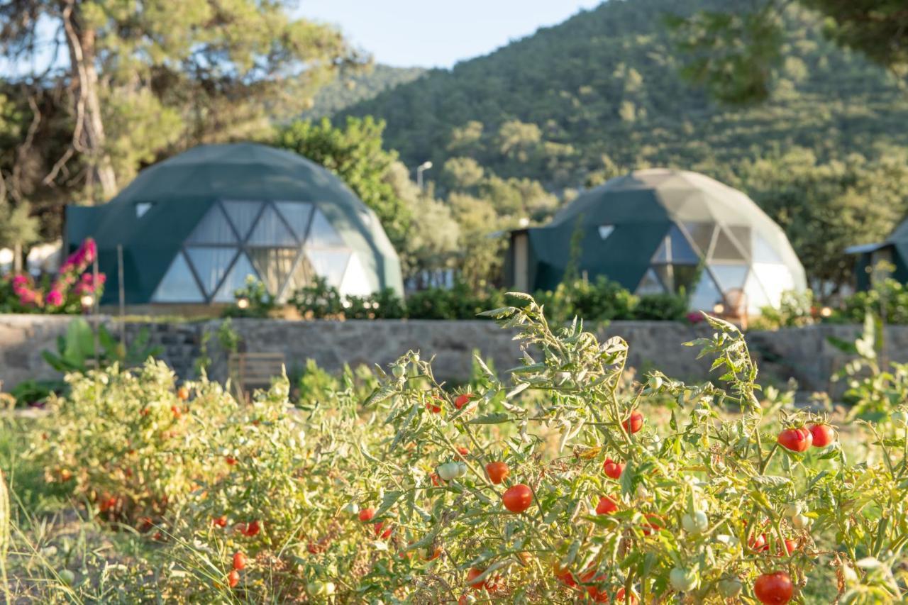 Lusso Glamping Bodrum Hotel Екстериор снимка